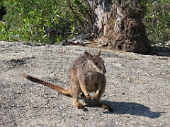 CairnsTC106 Granite Gorge